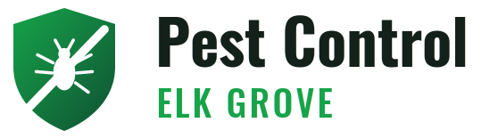 Elk Grove Pest Control
